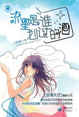流星是誰劃過的淚小說封面