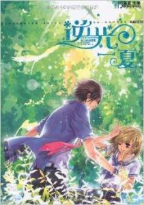 逆光一夏小說封面