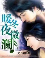 暖冬夜微瀾小說封面