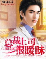 總裁上司很曖昧小說封面
