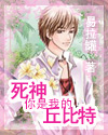 死神你是我的丘位元小說封面