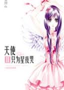 天使只為星夜哭2小說封面