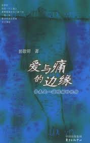 愛與痛的邊緣小說封面