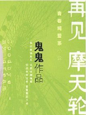 再見摩天輪小說封面