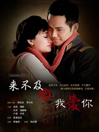 來不及說我愛你小說封面