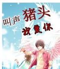 叫聲豬頭我愛你小說封面