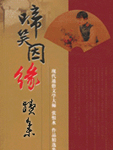 啼笑因緣續集小說封面