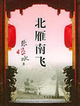 北雁南飛小說封面