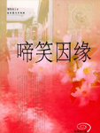 啼笑因緣小說封面