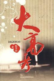大高考小說封面