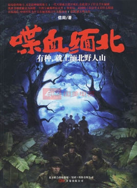 喋血緬北小說封面