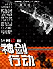 神劍行動小說封面