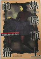 熱屋頂上的貓小說封面