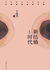 新結婚時代小說封面