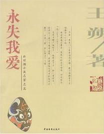 永失我愛小說封面