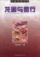 龍困與微行小說封面