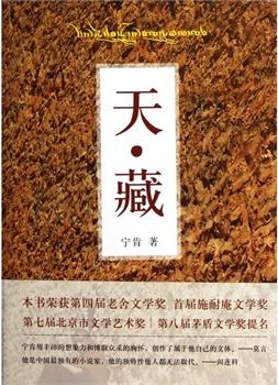 天藏小說封面