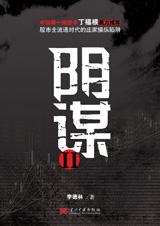 陰謀II小說封面