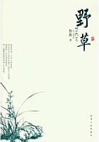 野草小說封面