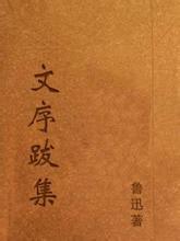 文序跋集小說封面