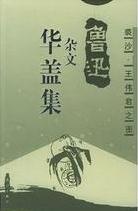 華蓋集小說封面