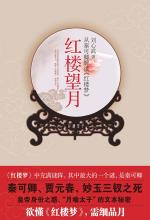 紅樓望月小說封面
