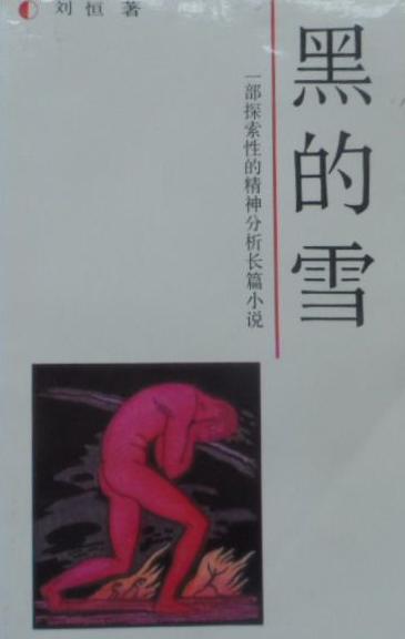 黑的雪小說封面