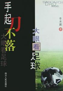 手起刀不落小說封面
