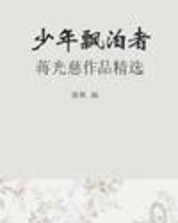 少年飄泊者小說封面