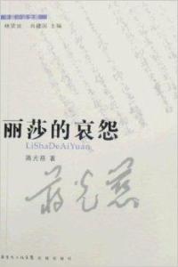 麗莎的哀怨小說封面