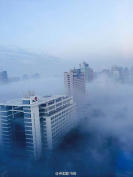 白霧小說封面