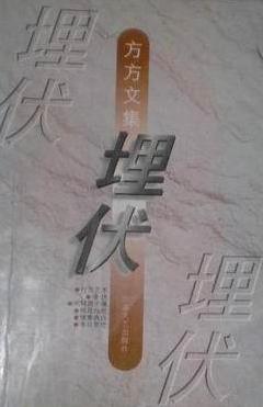 埋伏小說封面