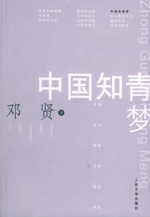 中國知青夢小說封面