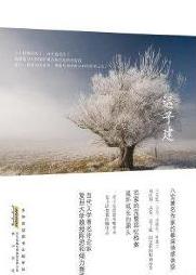 北極村童話小說封面