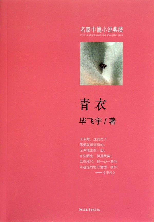 青衣小說封面