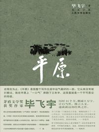 平原小說封面