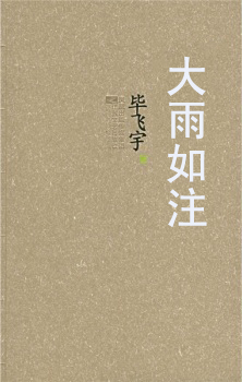 大雨如注小說封面