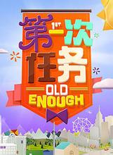 第一次任務小說封面