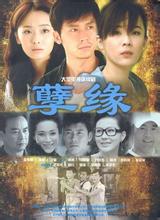 孽緣小說封面
