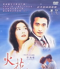 火花小說封面