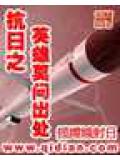 抗日之英雄莫問出處小說封面