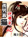 孤男寡貓:朕要愛妃小說封面