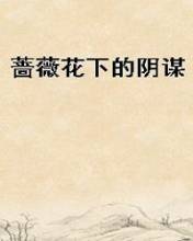 薔薇花下的陰謀小說封面