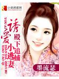 殿下追捕小逃妻小說封面