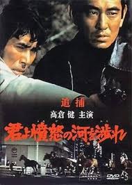 追捕(渡過憤怒的河)小說封面