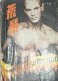 荒暴小說封面