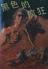 黑色的瘋狂小說封面
