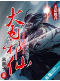 大內邪仙小說封面