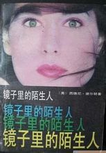 鏡子裡的陌生人小說封面