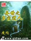 異世之多寶道人小說封面